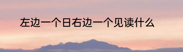 左边一个日右边一个见读什么