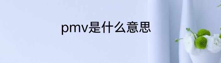 pmv是什么意思