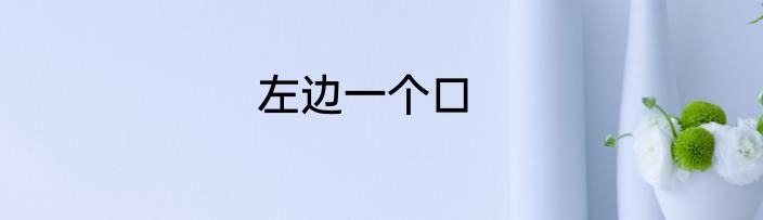 左边一个口