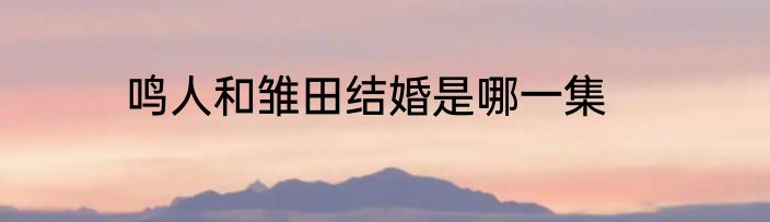 鸣人和雏田结婚是哪一集
