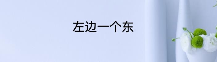 左边一个东