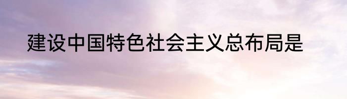建设中国特色社会主义总布局是