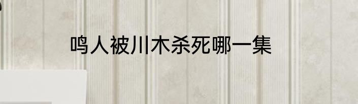 鸣人被川木杀死哪一集