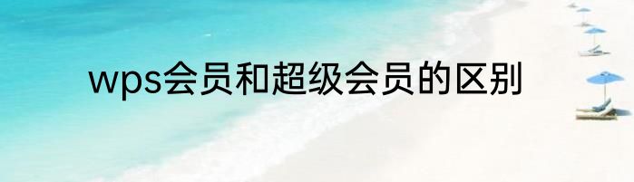 wps会员和超级会员的区别