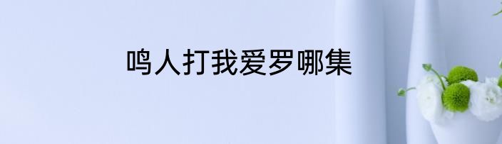 鸣人打我爱罗哪集