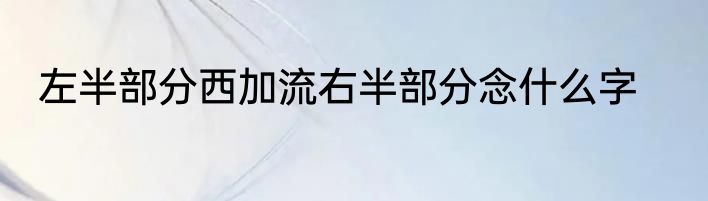 左半部分西加流右半部分念什么字