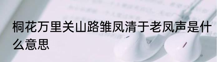 桐花万里关山路雏凤清于老凤声是什么意思