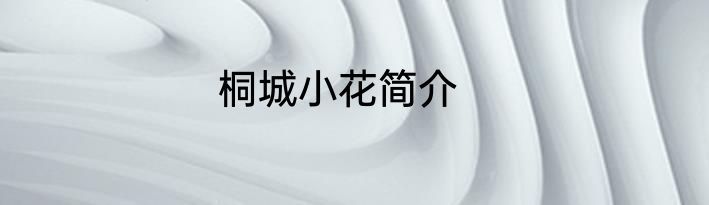 桐城小花简介