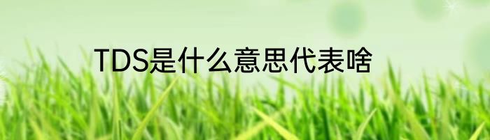 TDS是什么意思代表啥