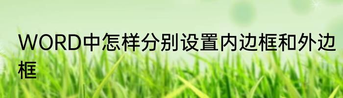 WORD中怎样分别设置内边框和外边框