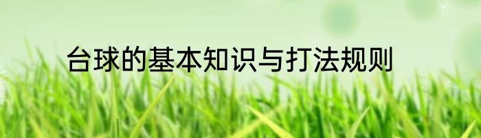 台球的基本知识与打法规则