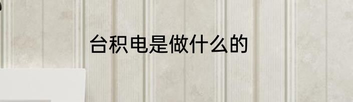 台积电是做什么的