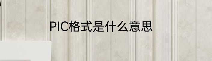 PIC格式是什么意思
