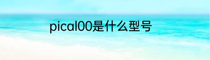 pical00是什么型号