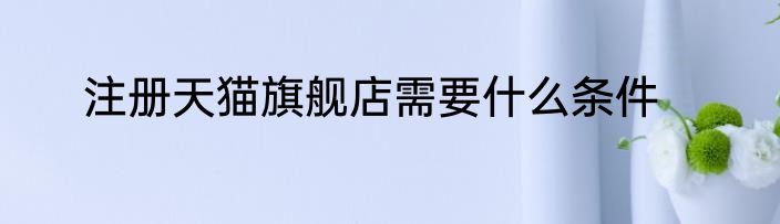 注册天猫旗舰店需要什么条件