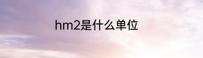 hm2是什么单位