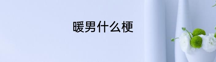 暖男什么梗