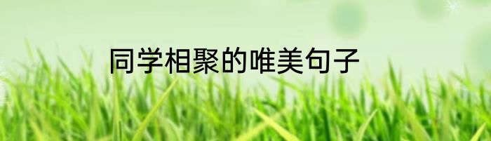 同学相聚的唯美句子