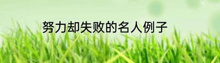 努力却失败的名人例子