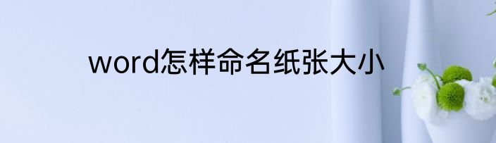 word怎样命名纸张大小