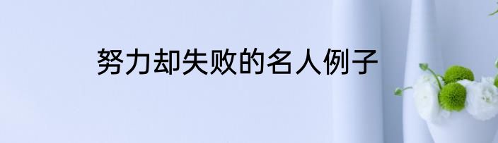努力却失败的名人例子