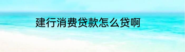 建行消费贷款怎么贷啊