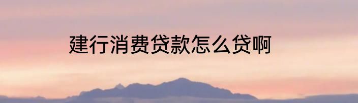建行消费贷款怎么贷啊