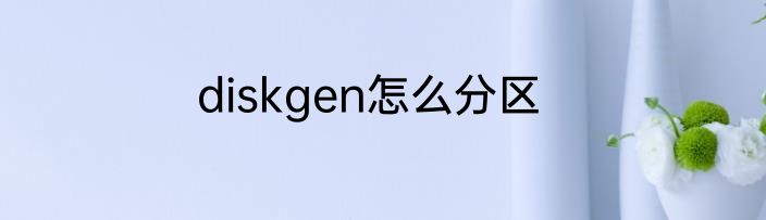 diskgen怎么分区