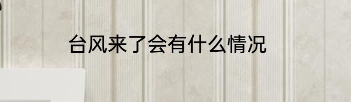 台风来了会有什么情况