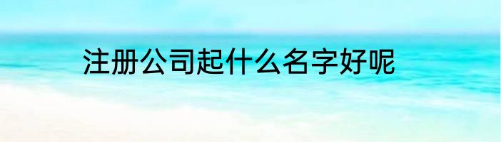 注册公司起什么名字好呢