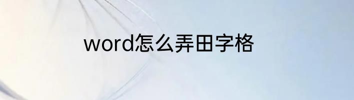word怎么弄田字格
