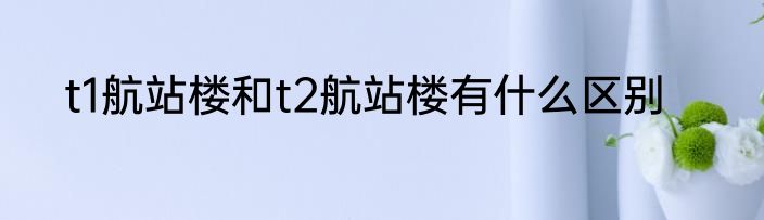 t1航站楼和t2航站楼有什么区别