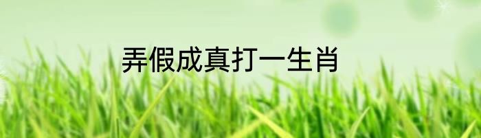 弄假成真打一生肖