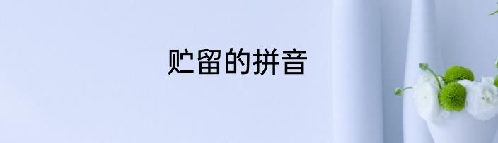 贮留的拼音