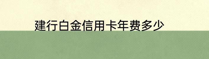 建行白金信用卡年费多少