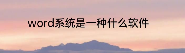 word系统是一种什么软件