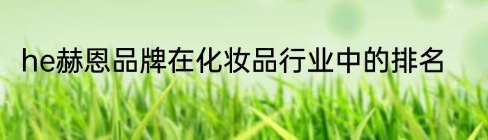 he赫恩品牌在化妆品行业中的排名