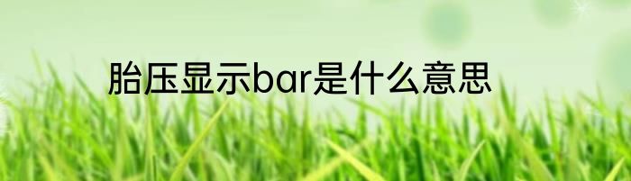 胎压显示bar是什么意思