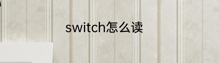 switch怎么读