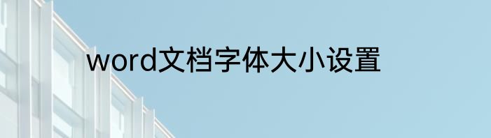 word文档字体大小设置