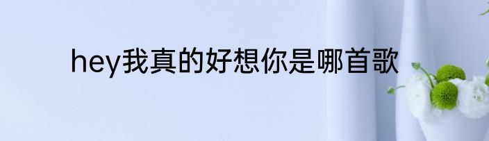 hey我真的好想你是哪首歌