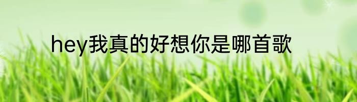 hey我真的好想你是哪首歌