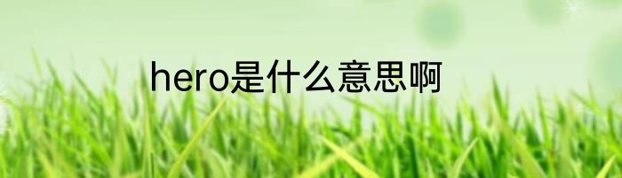 hero是什么意思啊