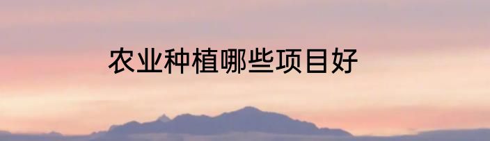 农业种植哪些项目好