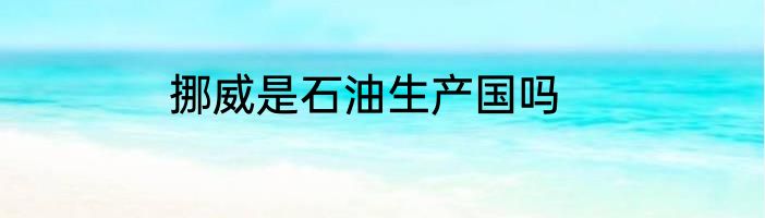 挪威是石油生产国吗