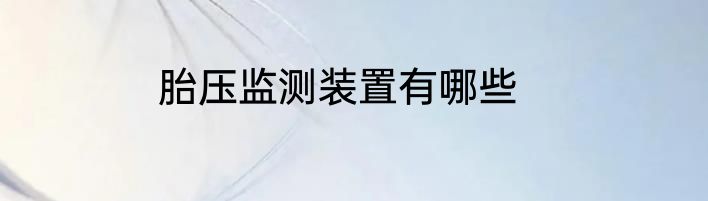 胎压监测装置有哪些