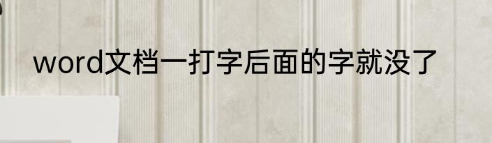 word文档一打字后面的字就没了