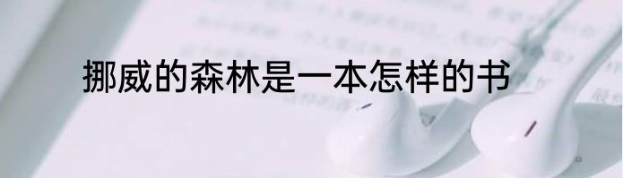 挪威的森林是一本怎样的书