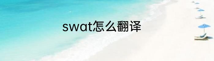 swat怎么翻译