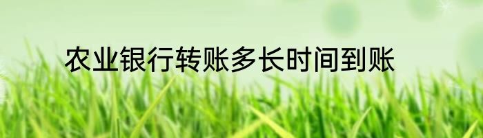农业银行转账多长时间到账